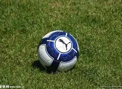 亚冬会女子,米速滑半决,赛精彩瞬间,九游体育app下载,九游体育官网,九游体育官方网站,九游体育平台